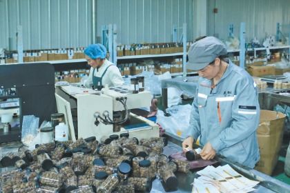 岷县电商订单生产忙，互联网销售开辟致富新路